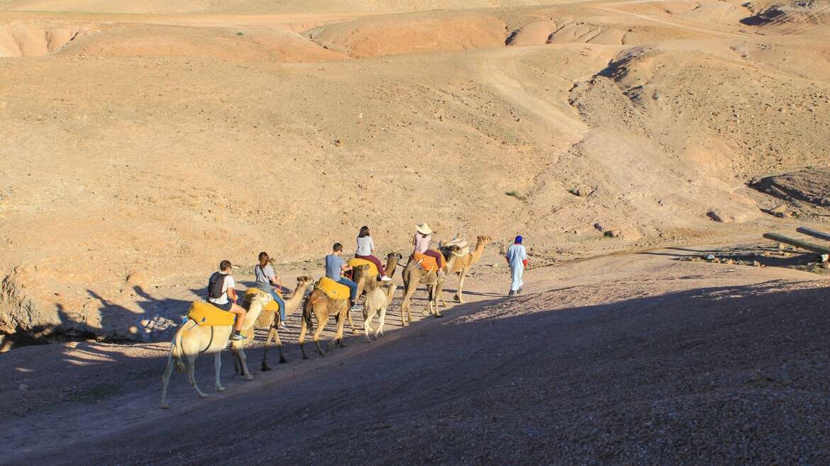 Balade en dromadaire à Agafay